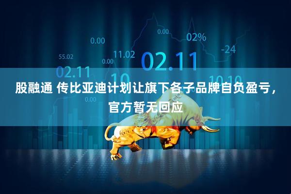 股融通 传比亚迪计划让旗下各子品牌自负盈亏,官方暂无回应