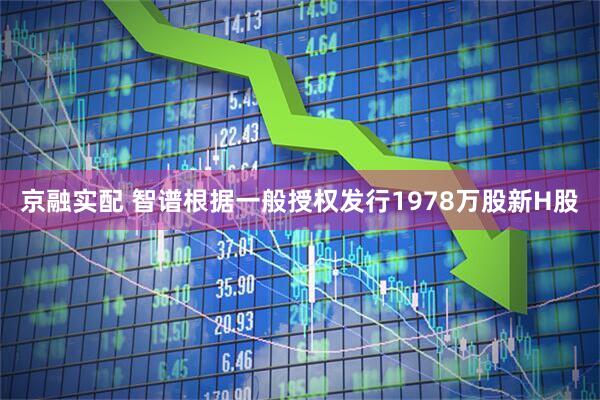 京融实配 智谱根据一般授权发行1978万股新H股