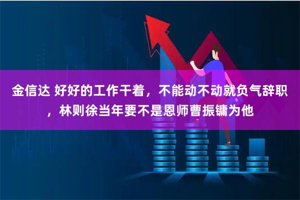金信达 好好的工作干着，不能动不动就负气辞职，林则徐当年要不是恩师曹振镛为他